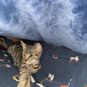 Meet your Posher, Stephanie